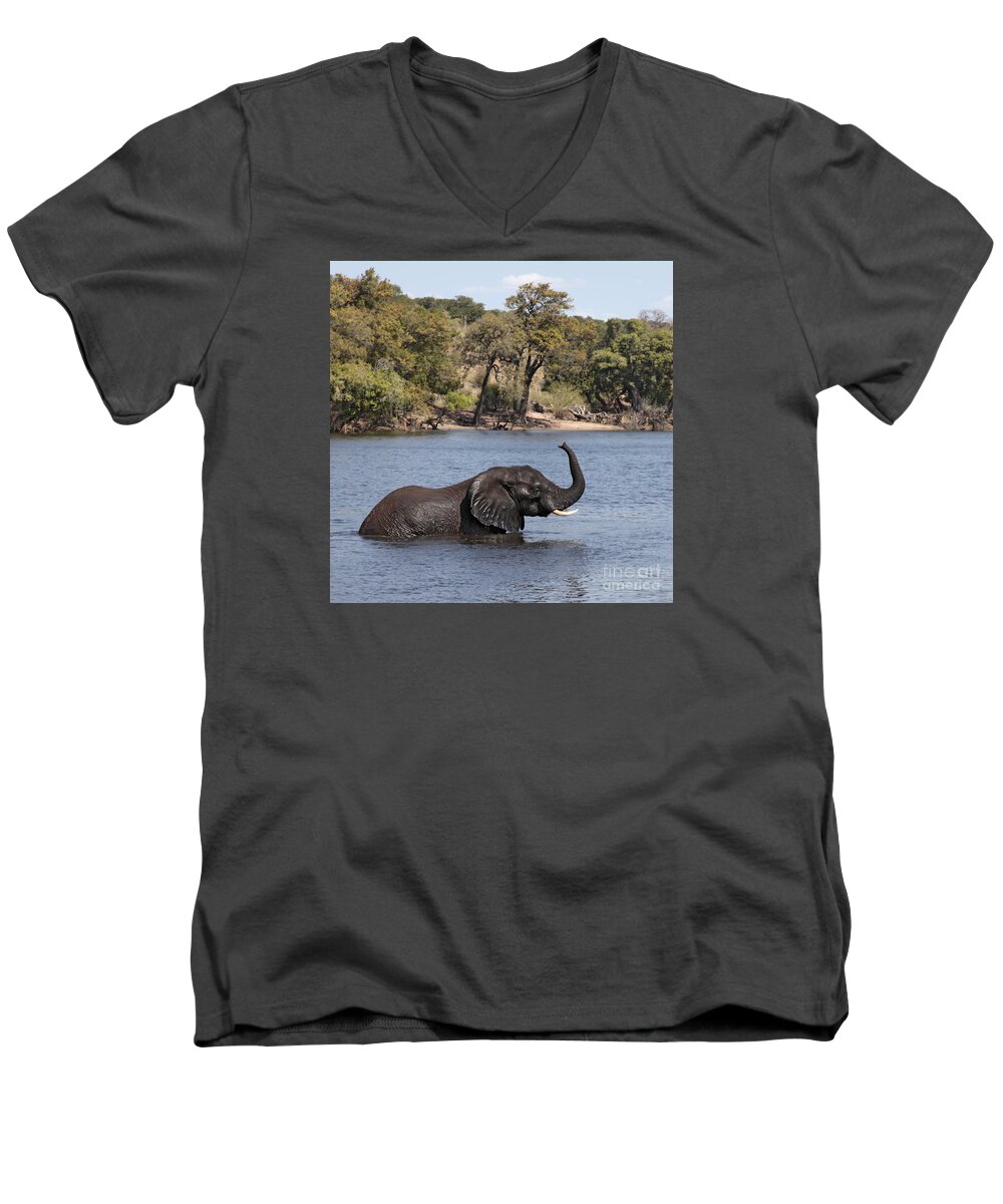  African Elephant Men's V-Neck T-Shirt featuring the photograph African Elephant in Chobe River by Liz Leyden