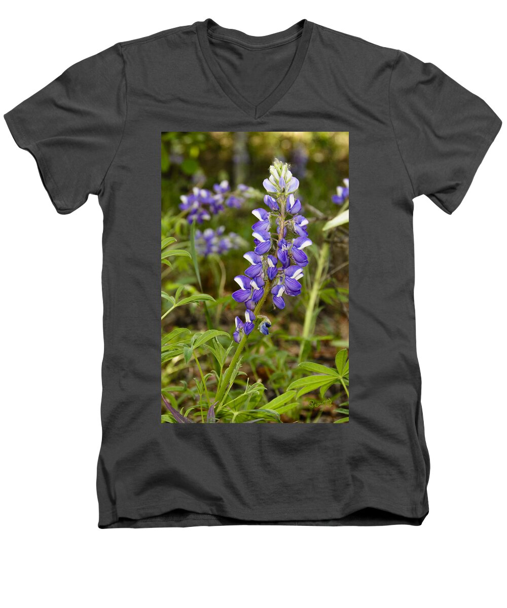 Alaska Men's V-Neck T-Shirt featuring the photograph Alaskan Lupine in Denali Park by Penny Lisowski
