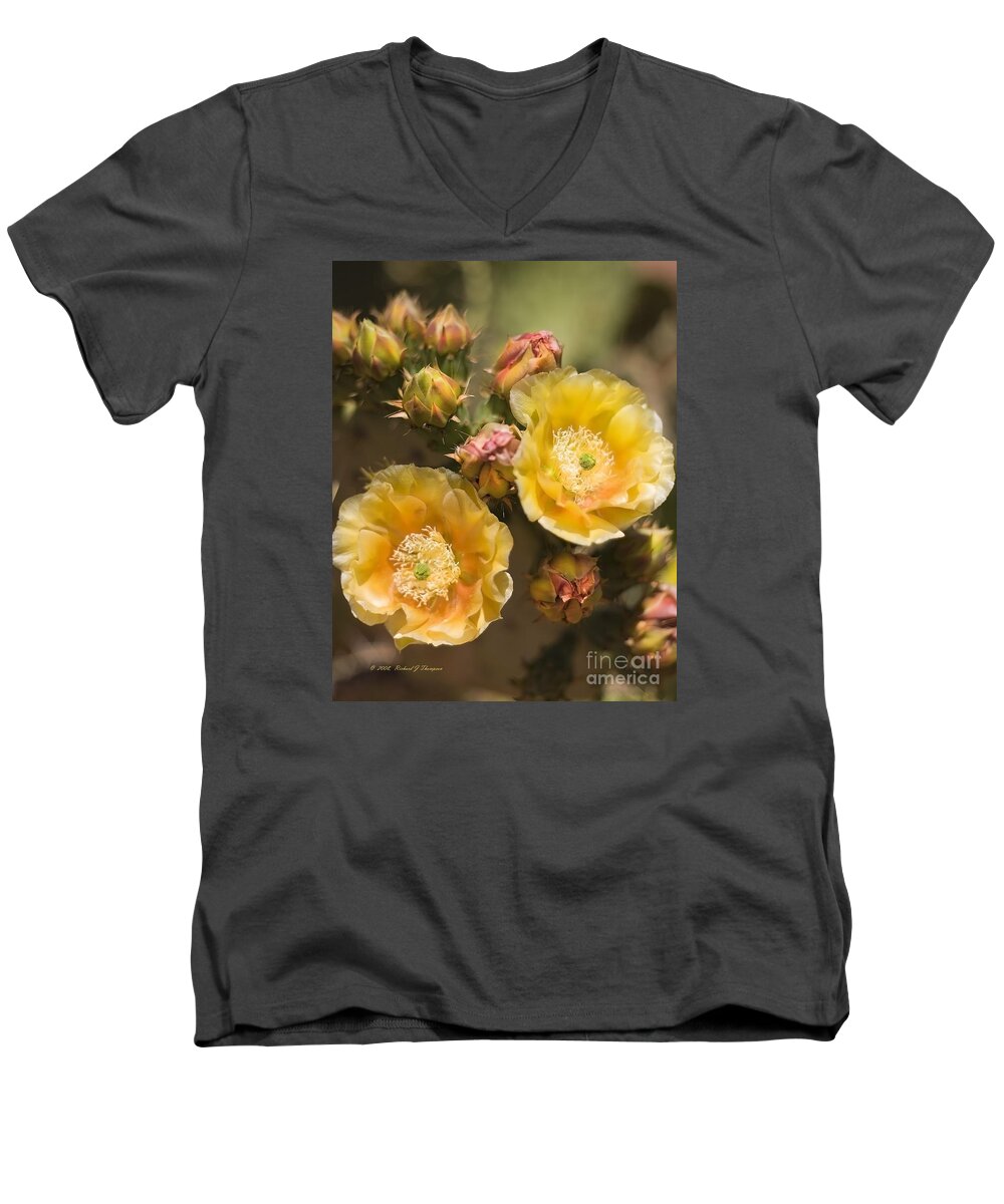 Vertical Men's V-Neck T-Shirt featuring the photograph 'Albispina' Cactus Blooms by Richard J Thompson 