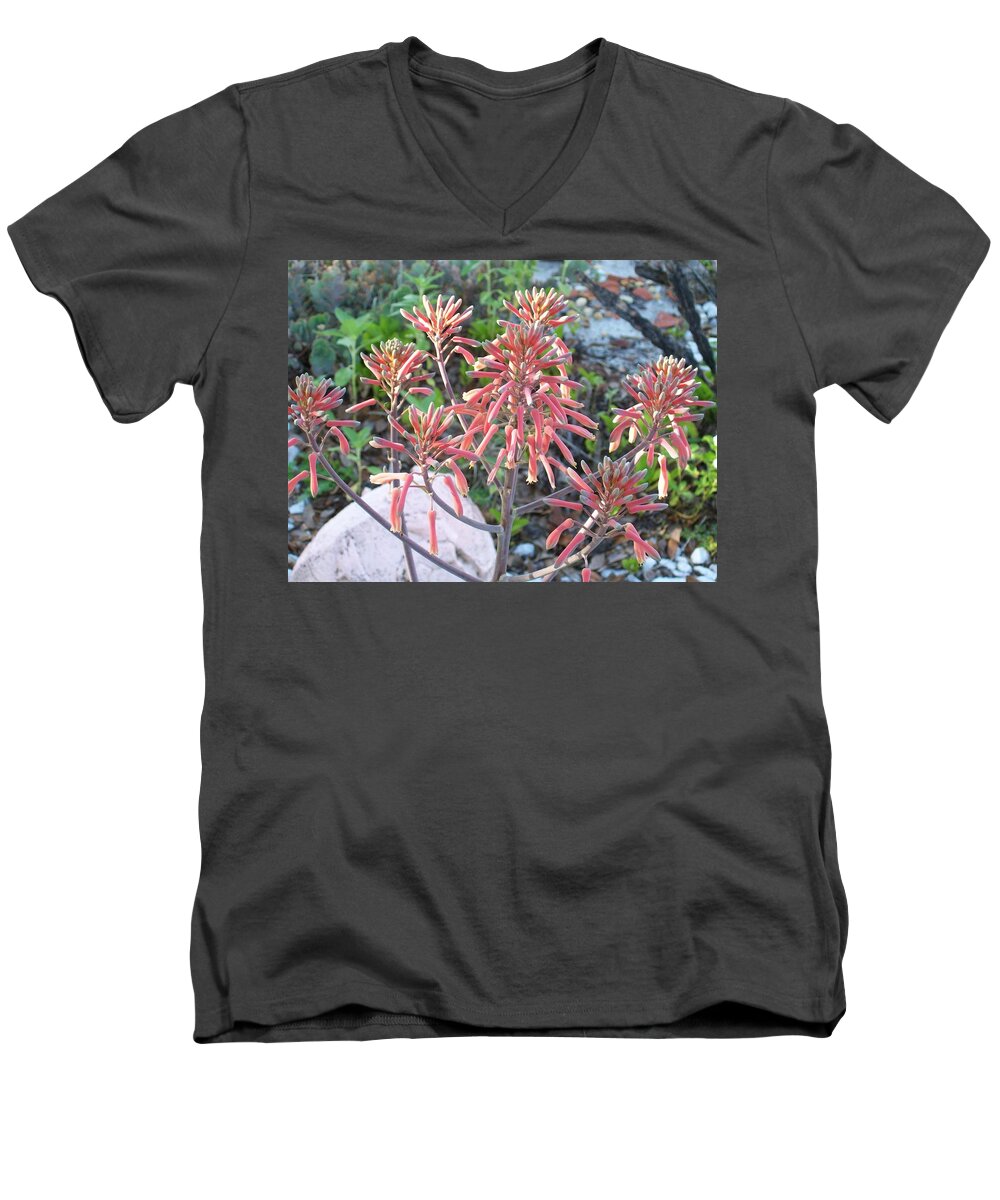 Succulent Aloe Plant With Mature Men's V-Neck T-Shirt featuring the photograph Aloe in Bloom by Belinda Lee