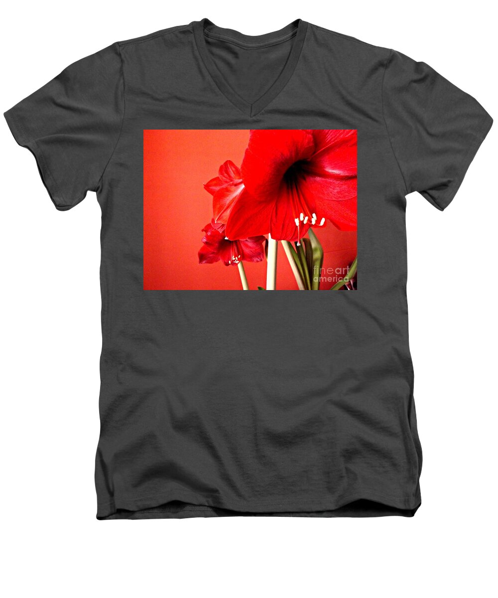 Amaryllis Men's V-Neck T-Shirt featuring the photograph Amaryllis by Clare Bevan