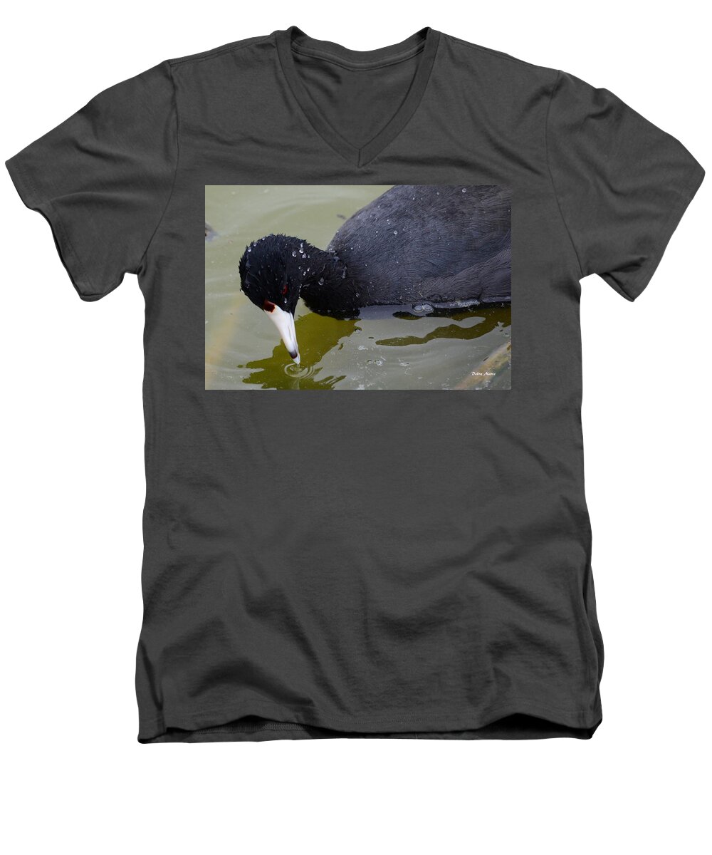 American Men's V-Neck T-Shirt featuring the photograph American Coot by Debra Martz