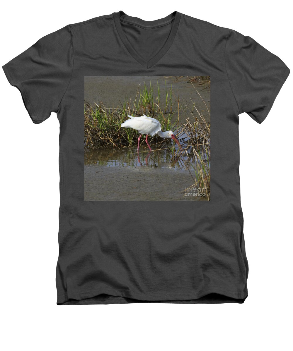 American Men's V-Neck T-Shirt featuring the photograph American White Ibis by Louise Heusinkveld