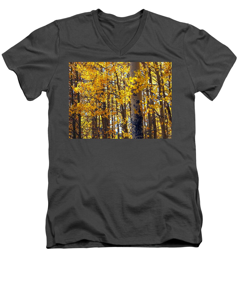 Aspen Men's V-Neck T-Shirt featuring the photograph Among the Aspen Trees in Fall by Amy McDaniel