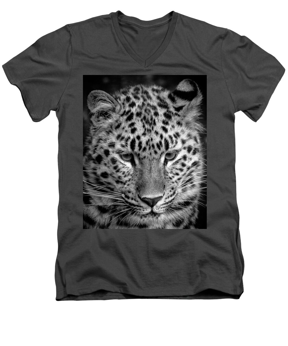 Animal Men's V-Neck T-Shirt featuring the photograph Amur Leopard in Black and White by Chris Boulton
