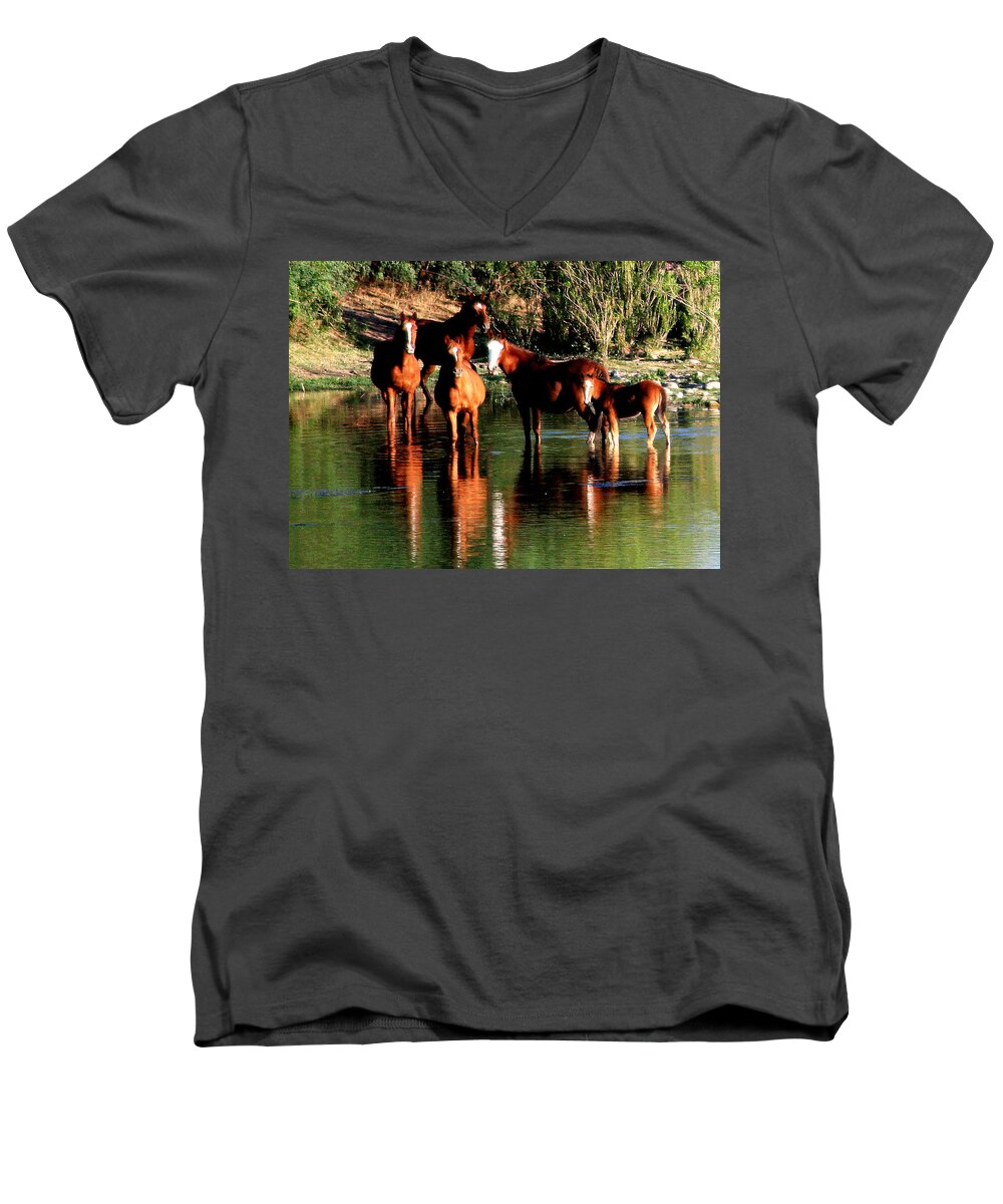 Wild Horses Men's V-Neck T-Shirt featuring the photograph Arizona Wild Horses by Matalyn Gardner