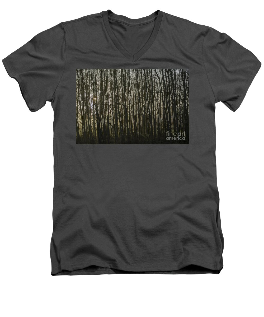Tree Men's V-Neck T-Shirt featuring the photograph Background of trees in mist by Patricia Hofmeester