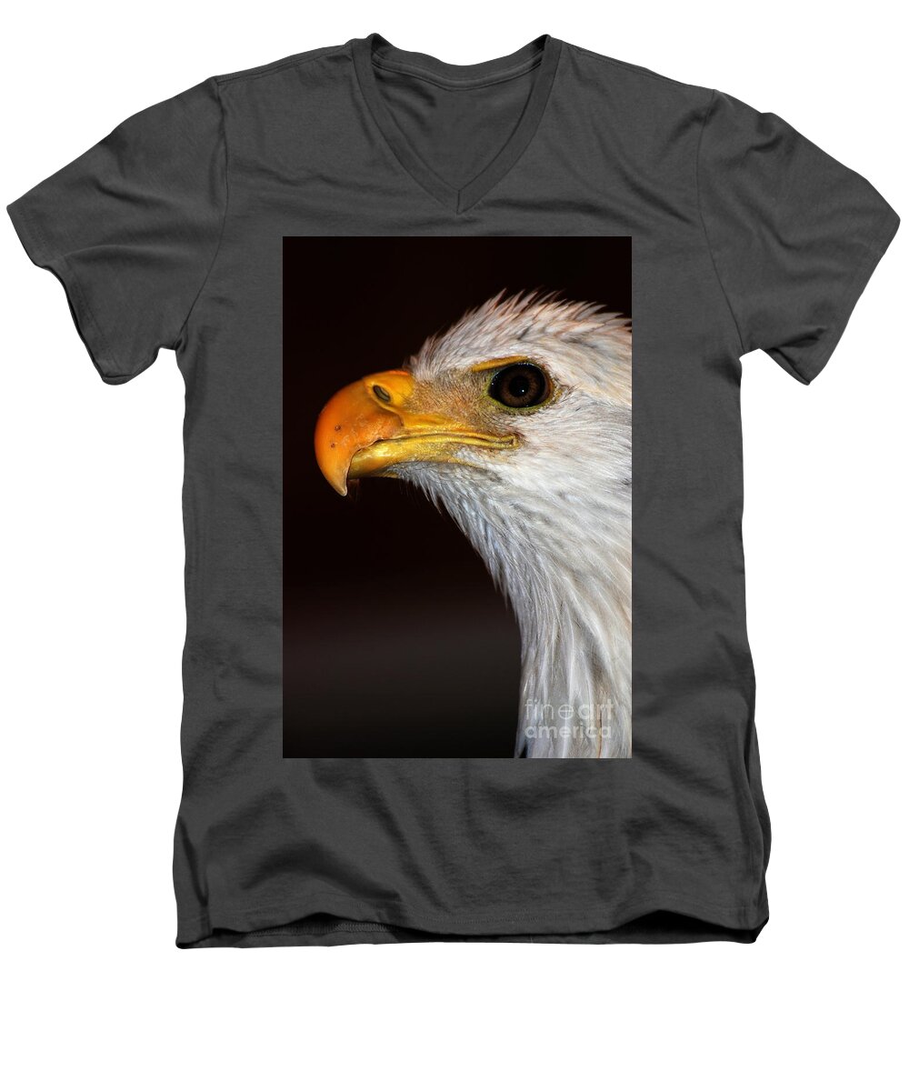 Bald Eagle Men's V-Neck T-Shirt featuring the photograph Bald Eagle by John Greco