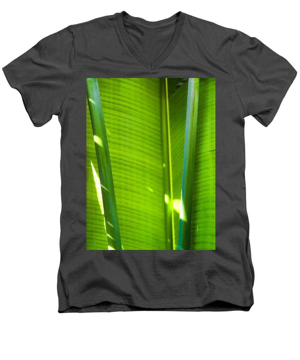 Leaves Men's V-Neck T-Shirt featuring the photograph Banana Leaves 11 by Dawn Eshelman
