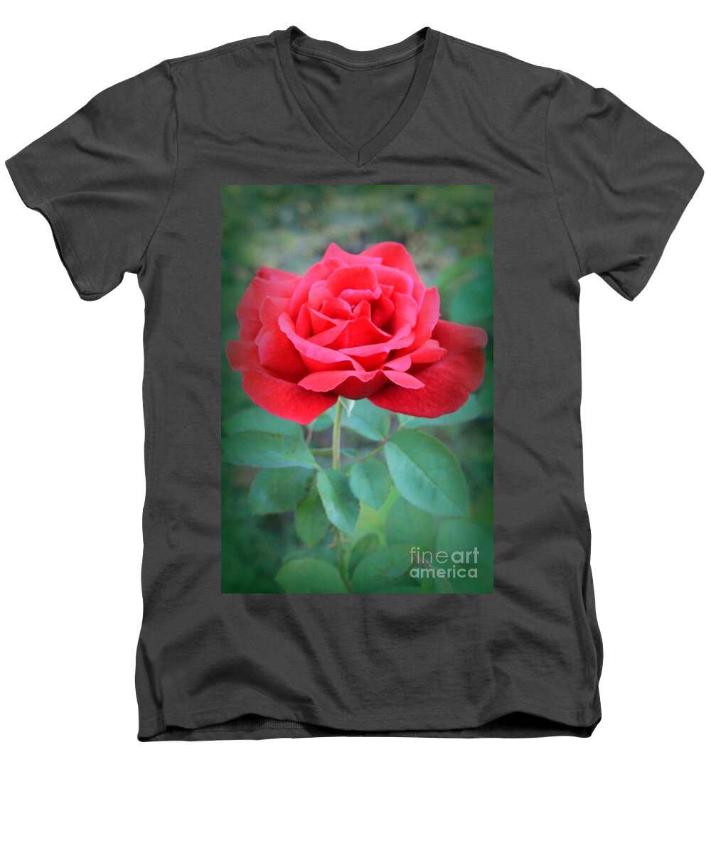 Rose Men's V-Neck T-Shirt featuring the photograph Beautiful Morning Rose by Jennifer E Doll