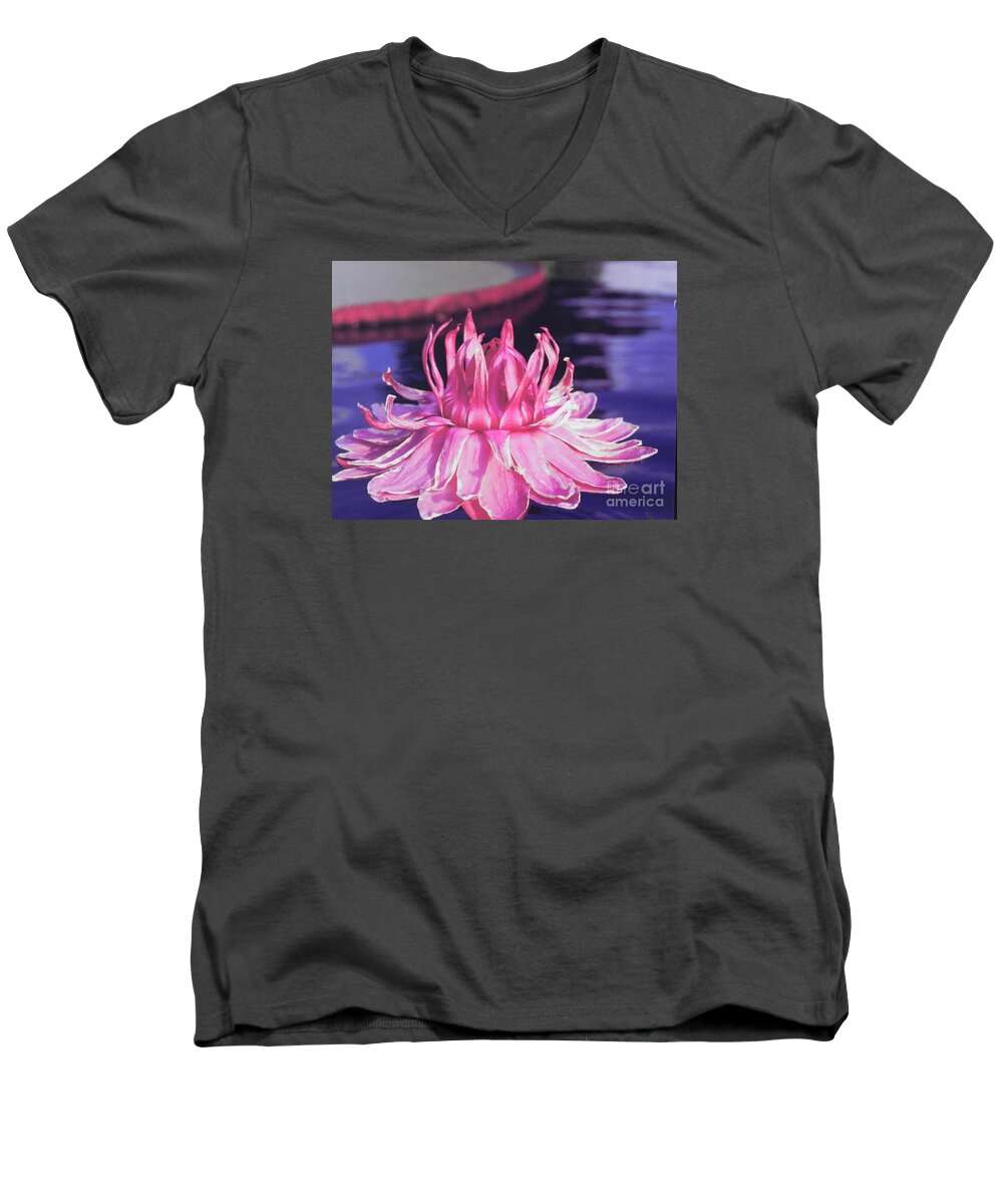 Photography Men's V-Neck T-Shirt featuring the photograph Beauty of Pink at the NY Botanical Gardens by Chrisann Ellis