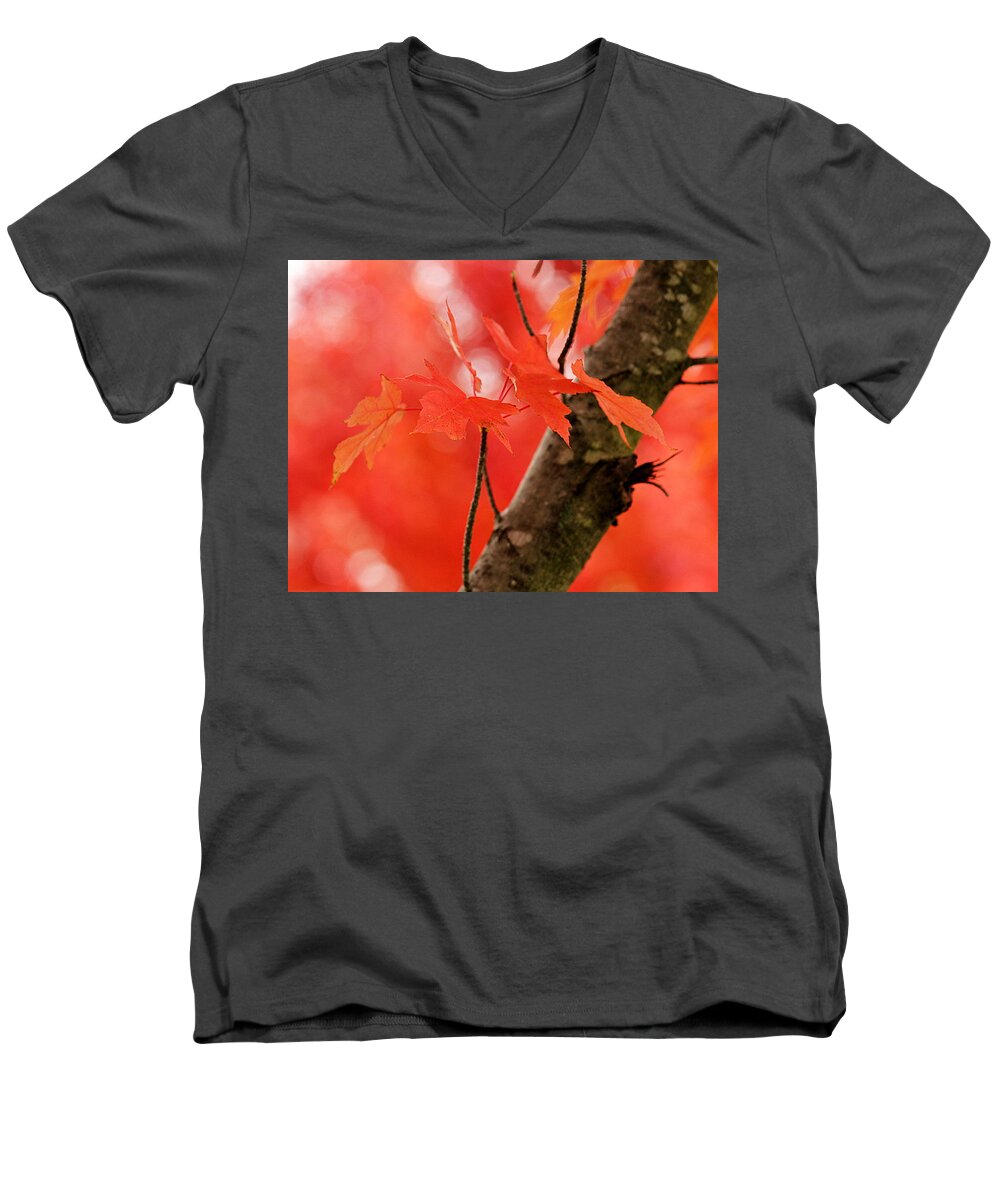 Red Men's V-Neck T-Shirt featuring the photograph Beauty of Red by Viviana Nadowski