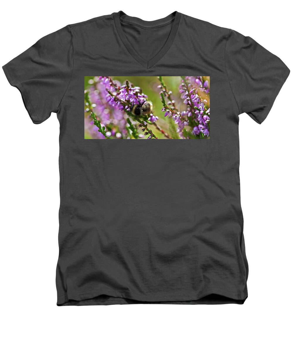 Animal Men's V-Neck T-Shirt featuring the photograph Bee on heather by Roberto Pagani