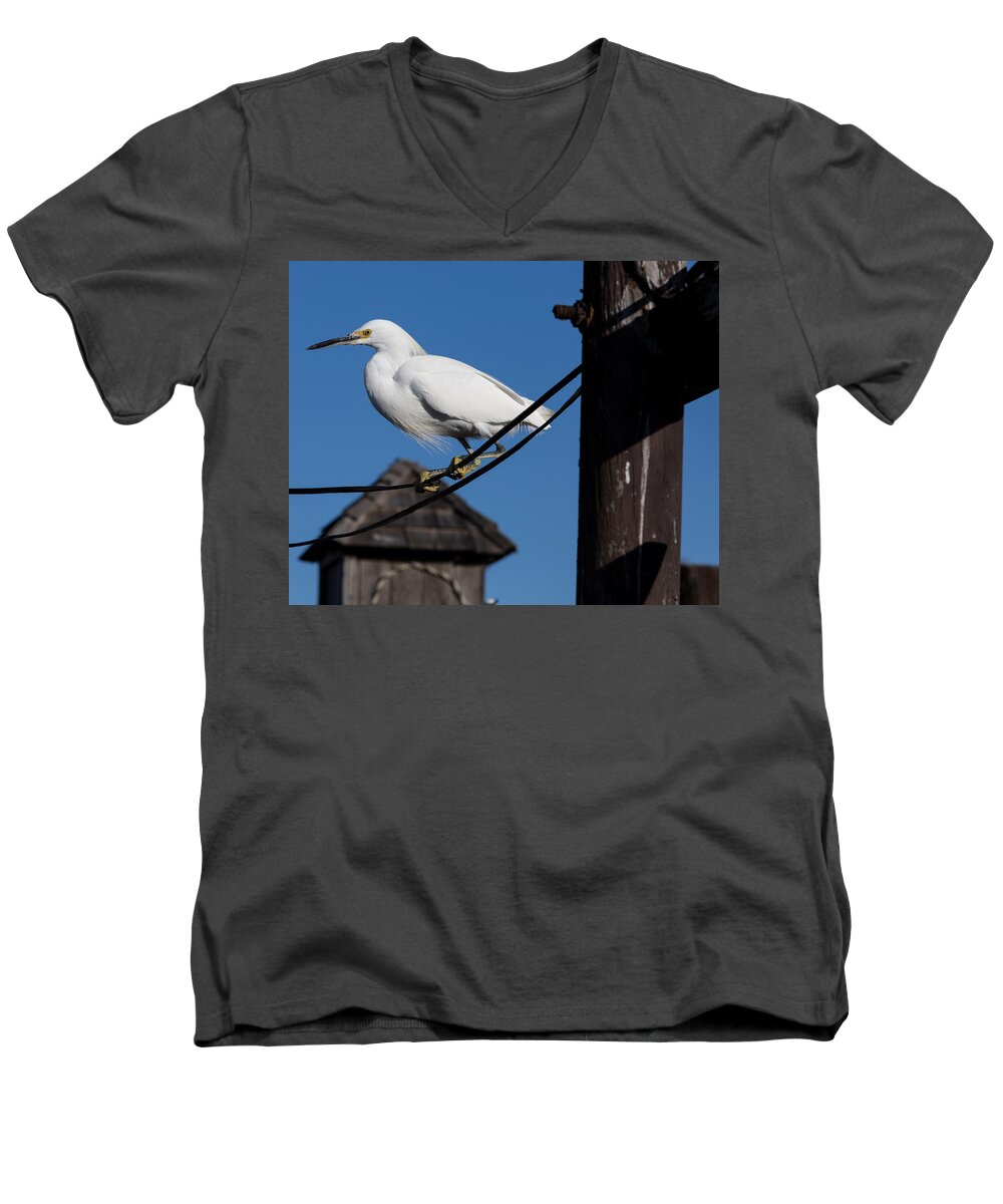 Snowy Egret Men's V-Neck T-Shirt featuring the photograph Bird on a Wire by John Daly