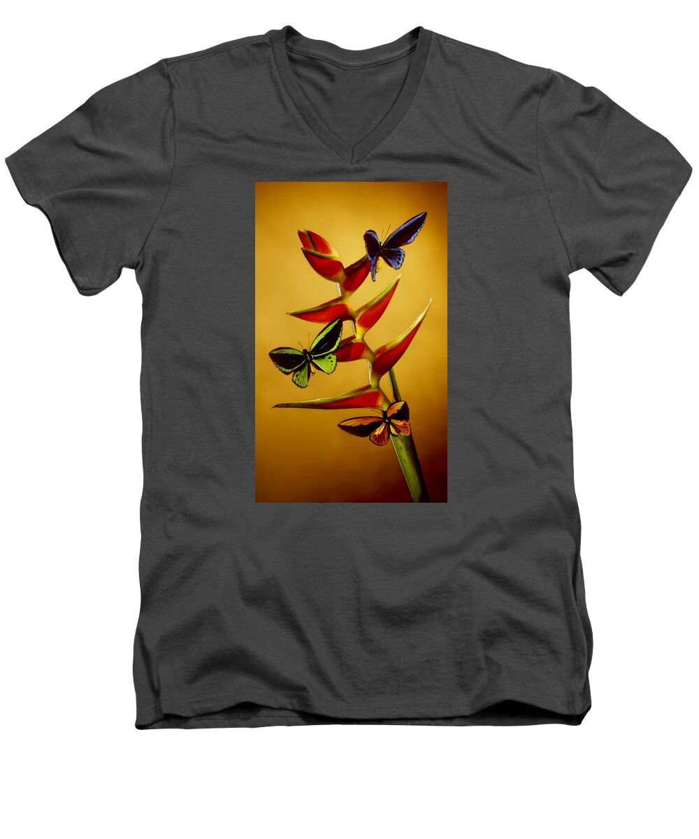 Birdwing Butterflies Men's V-Neck T-Shirt featuring the photograph Birdwing On Heliconia by Kirk Ellison