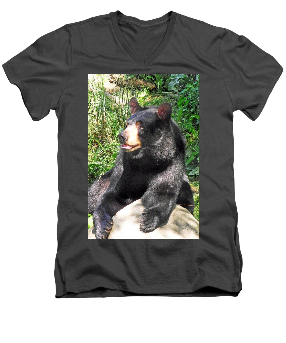 Duane Mccullough Men's V-Neck T-Shirt featuring the photograph Black Bear by Duane McCullough