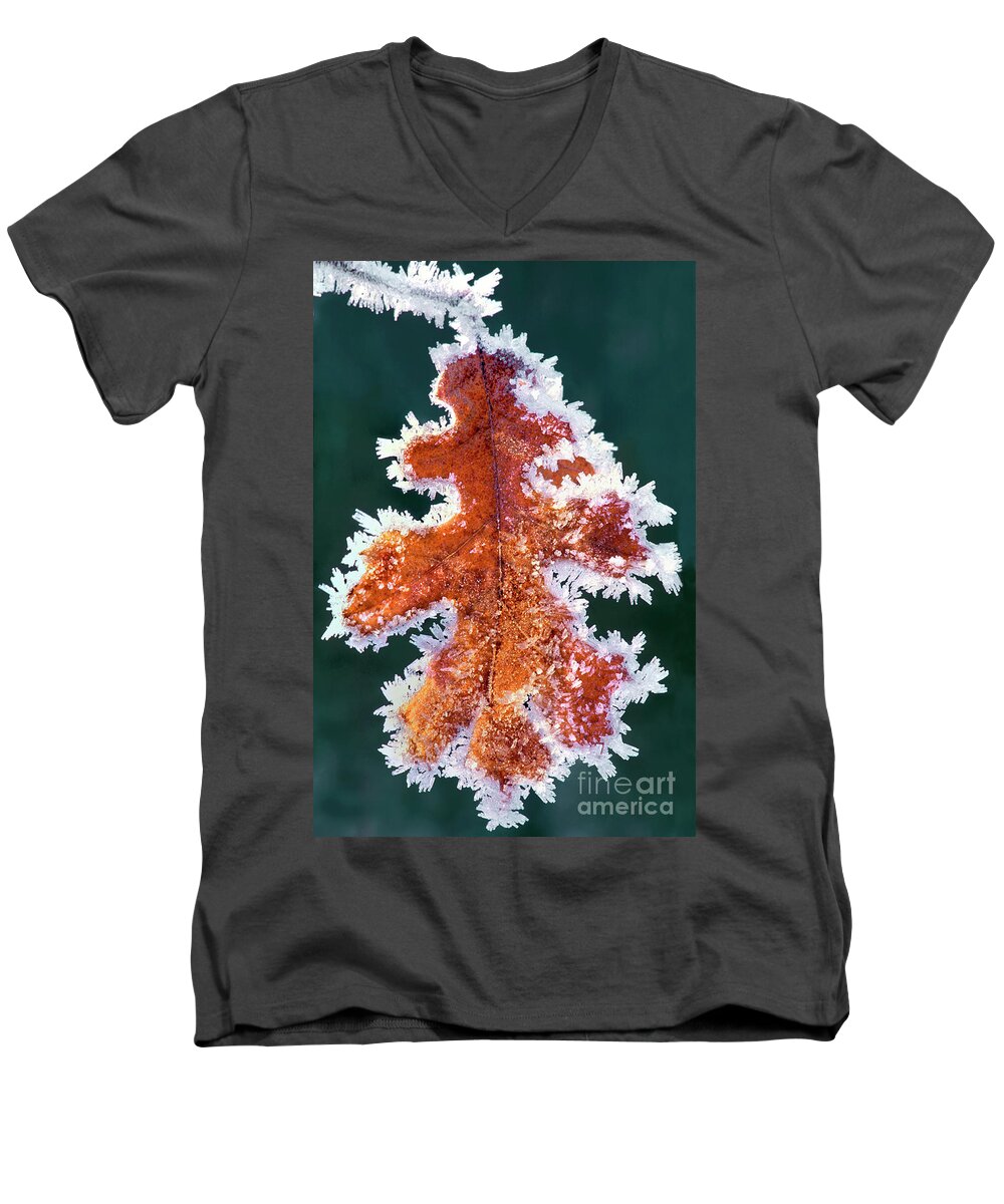 North America Men's V-Neck T-Shirt featuring the photograph Black Oak Leaf Rime Ice Yosemite National Park California by Dave Welling
