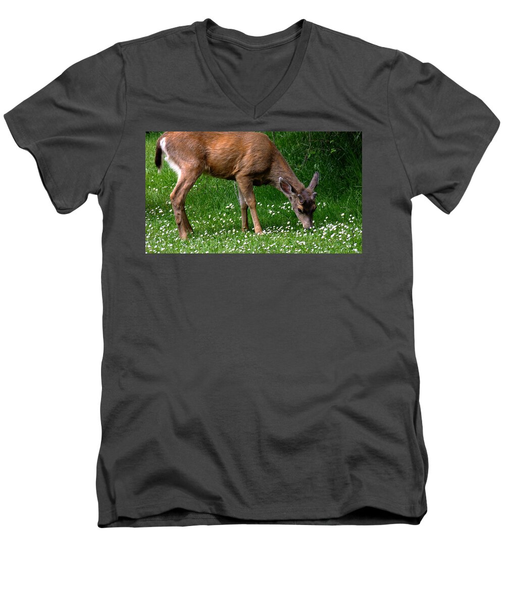 Black-tail Deer Men's V-Neck T-Shirt featuring the photograph Black-tail Deer in May by Kae Cheatham