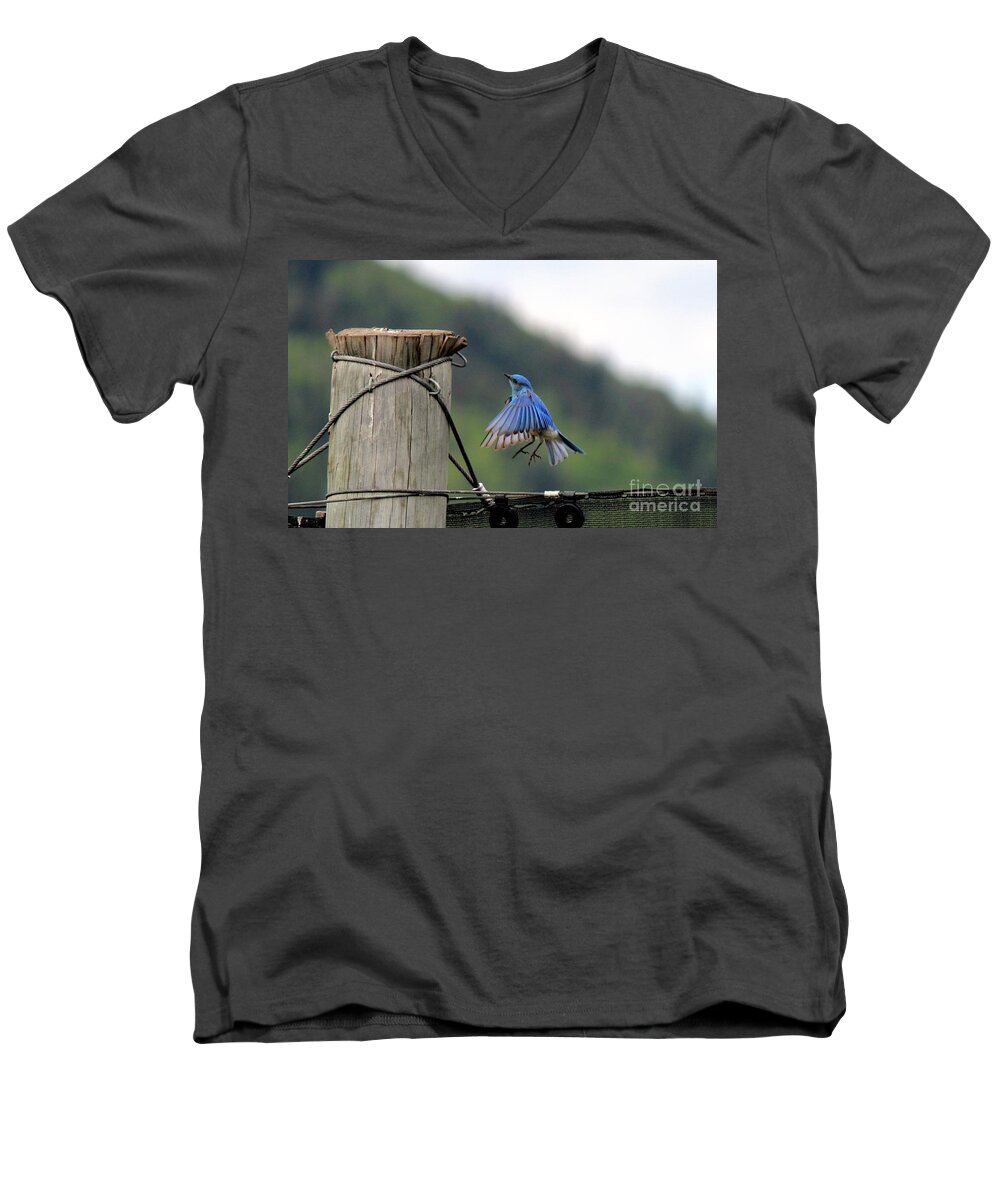 Mountain Blue Bird Men's V-Neck T-Shirt featuring the photograph Blue Bird by Ann E Robson