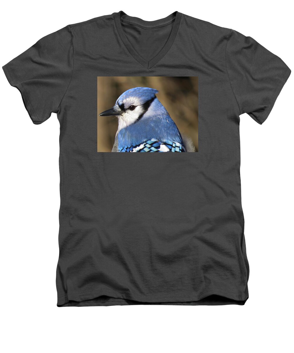 Blue Jay Men's V-Neck T-Shirt featuring the photograph Blue Jay Profile by MTBobbins Photography