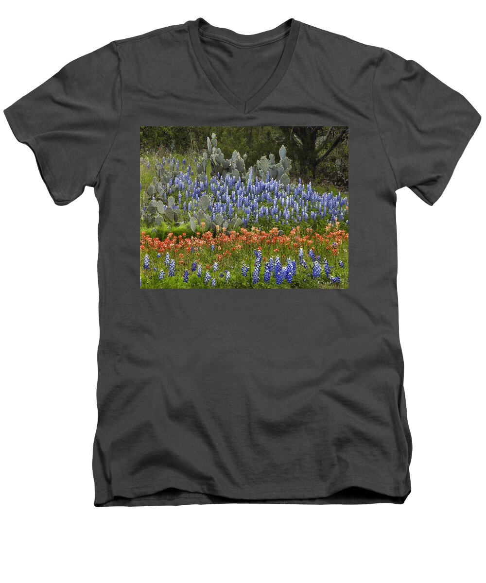 00442674 Men's V-Neck T-Shirt featuring the photograph Bluebonnets Paintbrush and Prickly Pear by Tim Fitzharris