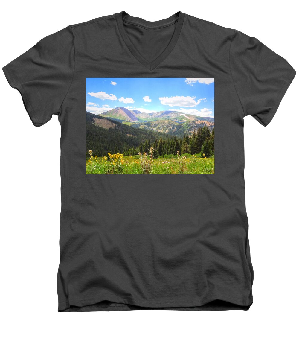 Landscape Men's V-Neck T-Shirt featuring the photograph Boreas Pass Summer by Lanita Williams