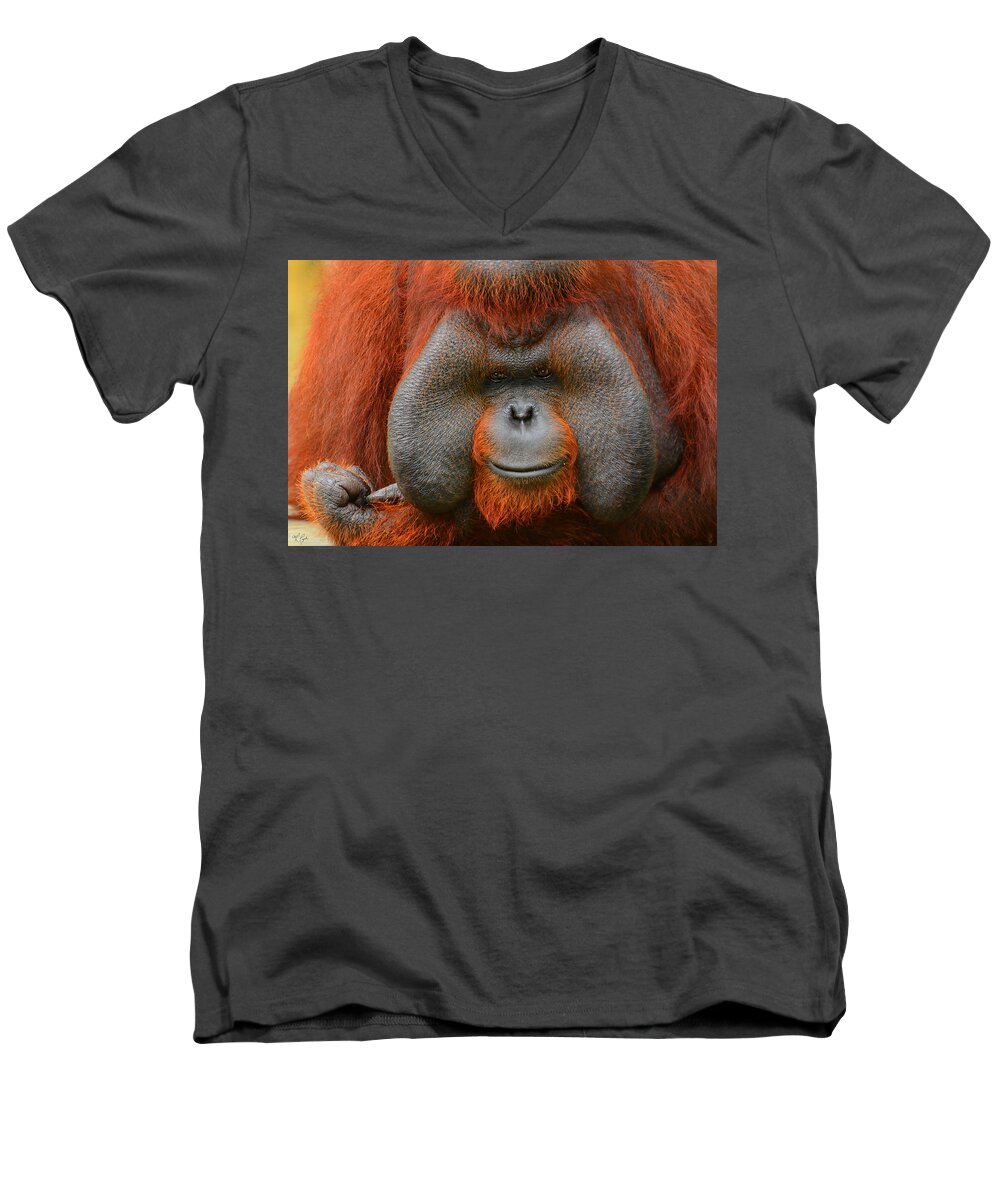 Orangutan Men's V-Neck T-Shirt featuring the photograph Bornean Orangutan by Lourry Legarde