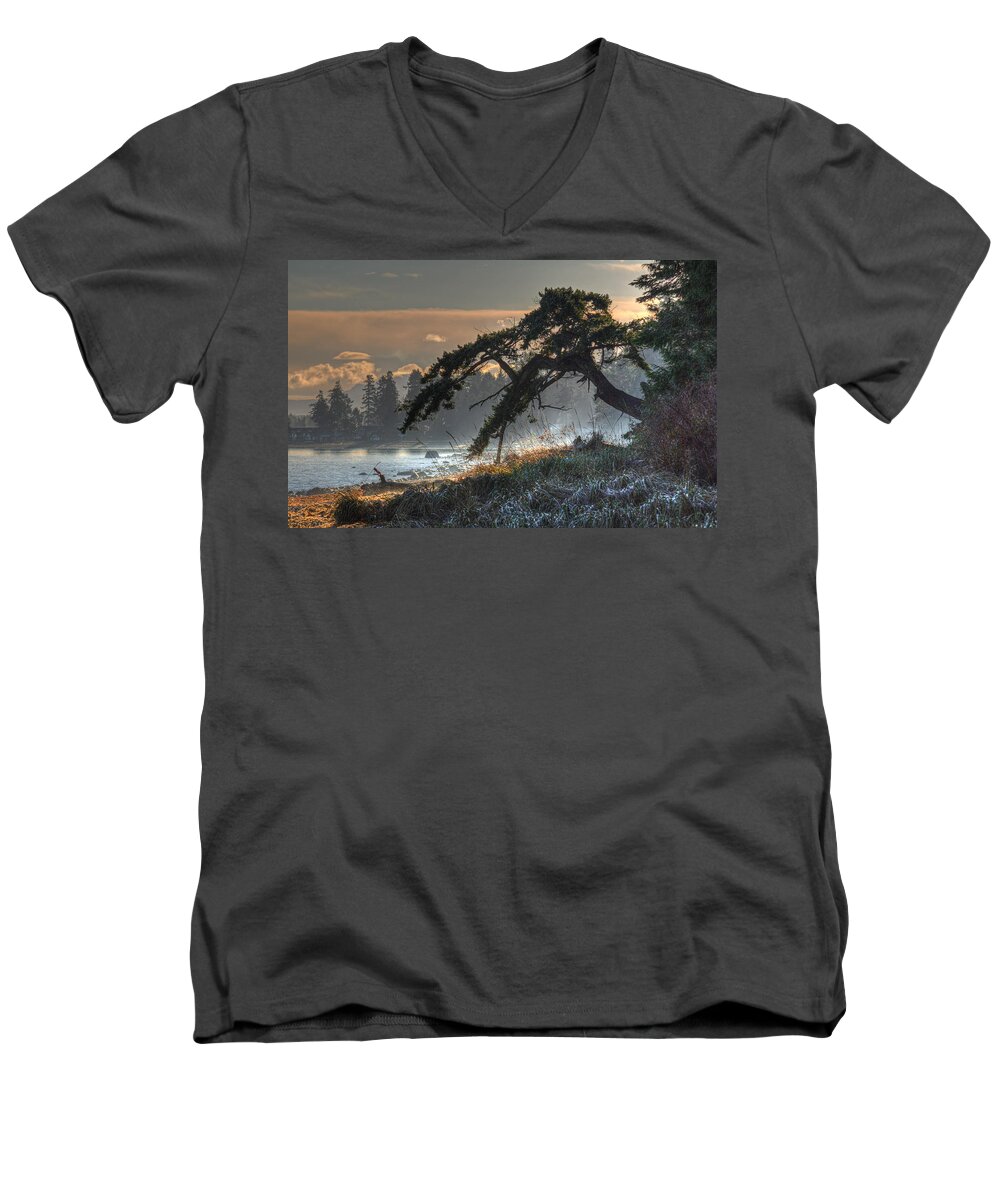Tree Men's V-Neck T-Shirt featuring the photograph Buccaneer Beach by Randy Hall