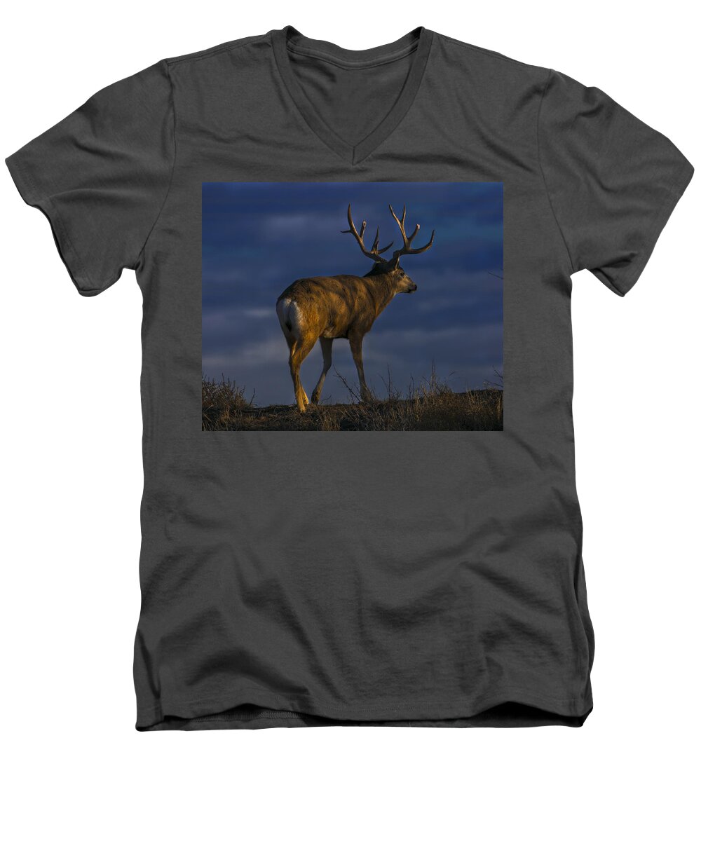 Wildlife Men's V-Neck T-Shirt featuring the photograph Buck by Jeff Shumaker