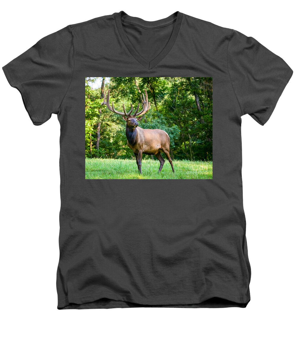 6x6 Men's V-Neck T-Shirt featuring the photograph Bull Elk by Ronald Lutz