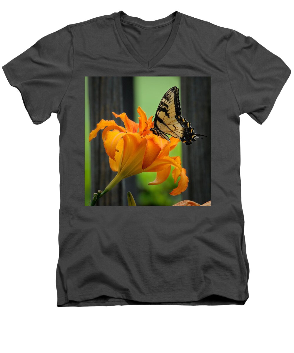 Butterfly Men's V-Neck T-Shirt featuring the photograph Butterfly by David Hart