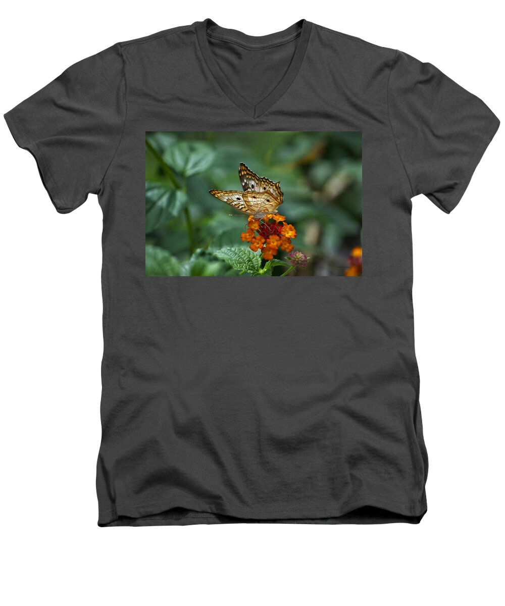 Butterfly Men's V-Neck T-Shirt featuring the photograph Butterfly Wings Of Sun Light by Thomas Woolworth