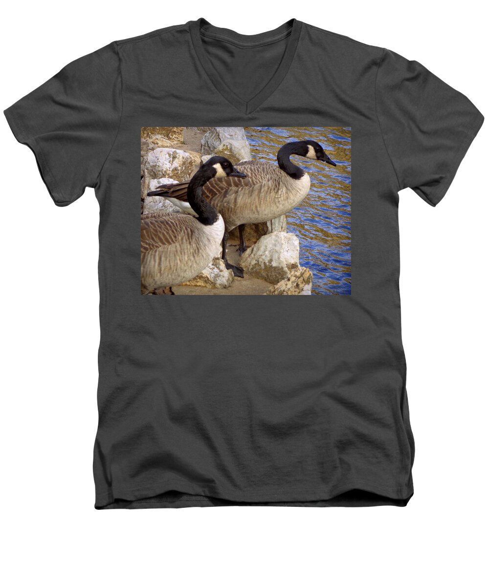 Skompski Men's V-Neck T-Shirt featuring the photograph Canada Geese by Joseph Skompski
