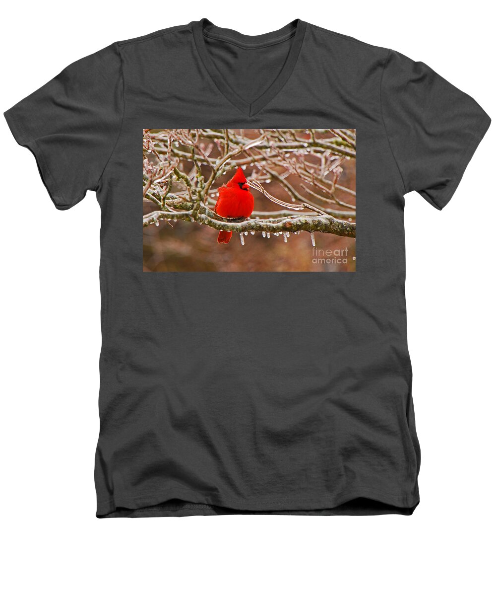 Avian Men's V-Neck T-Shirt featuring the photograph Cardinal by Mary Carol Story