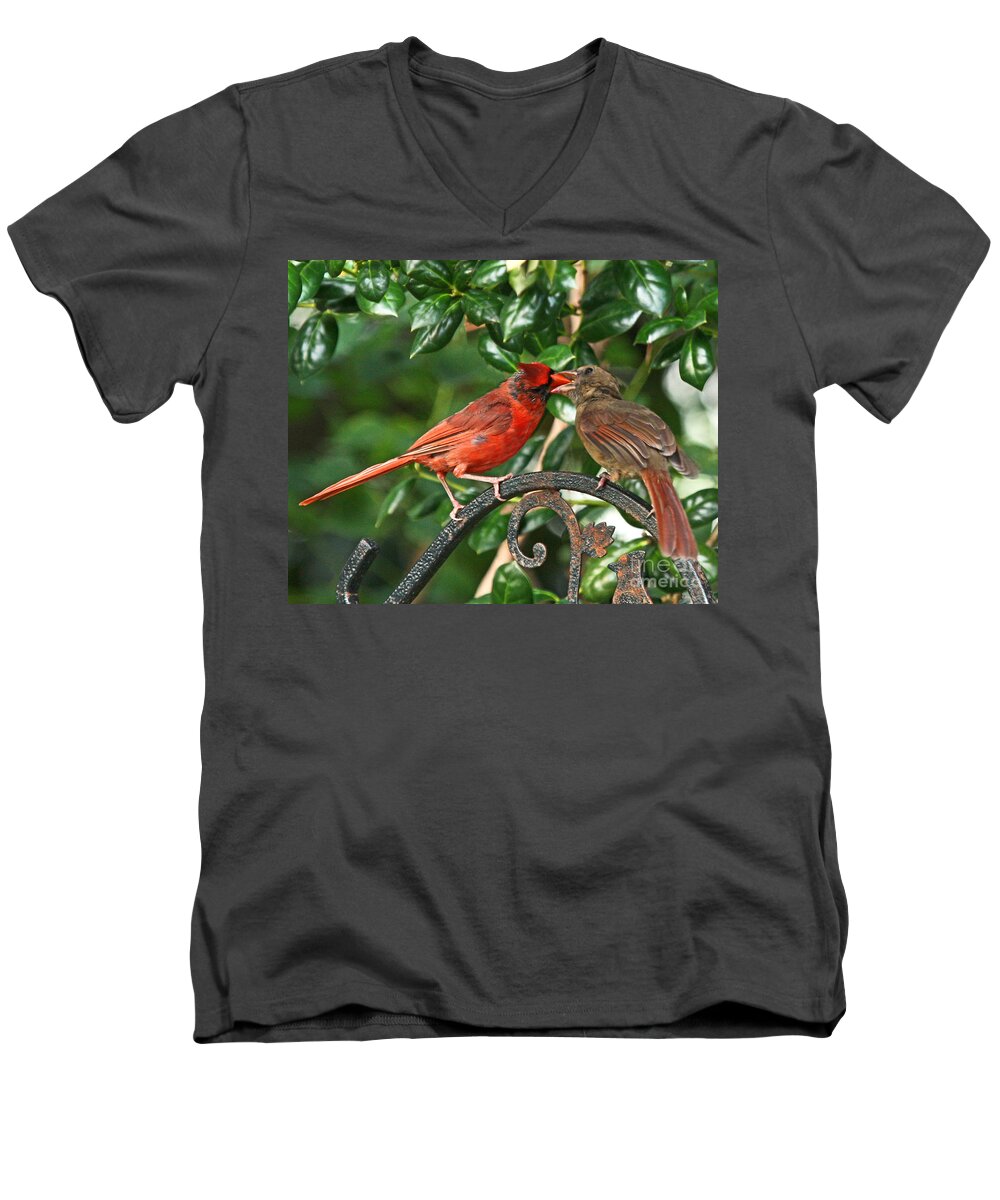 Red Cardinal Photo Men's V-Neck T-Shirt featuring the photograph Cardinal Bird Valentines Love by Luana K Perez