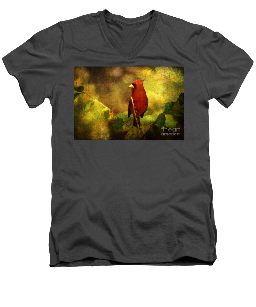 Cardinal Men's V-Neck T-Shirt featuring the digital art Cheery Red Cardinal by Lianne Schneider