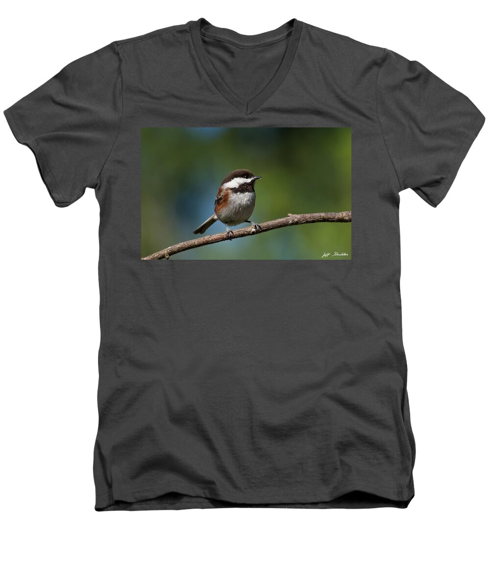 Animal Men's V-Neck T-Shirt featuring the photograph Chestnut Backed Chickadee Perched on a Branch by Jeff Goulden