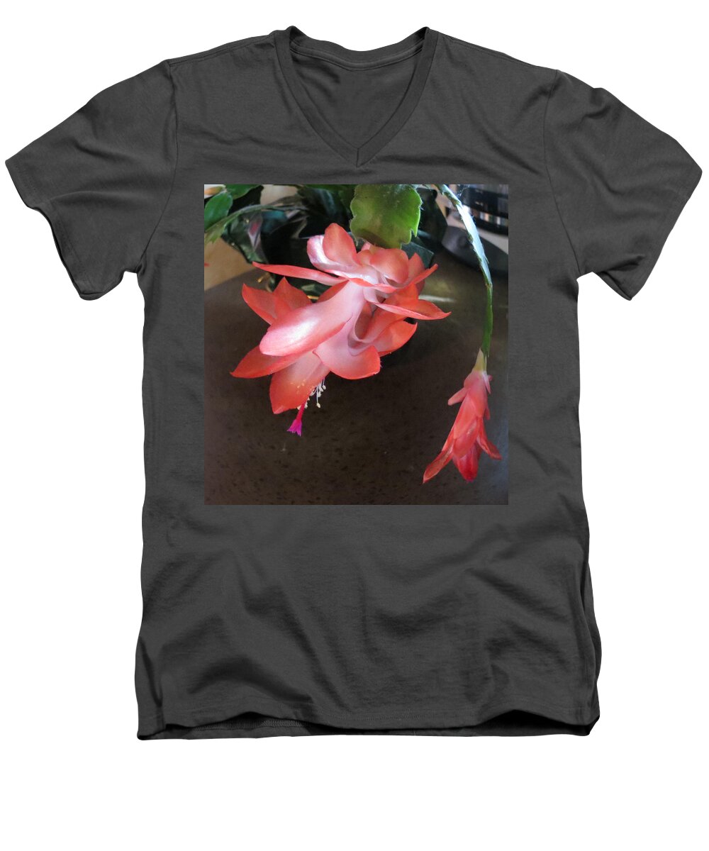 Nature Men's V-Neck T-Shirt featuring the photograph Christmas Cactus Bloom by Fortunate Findings Shirley Dickerson