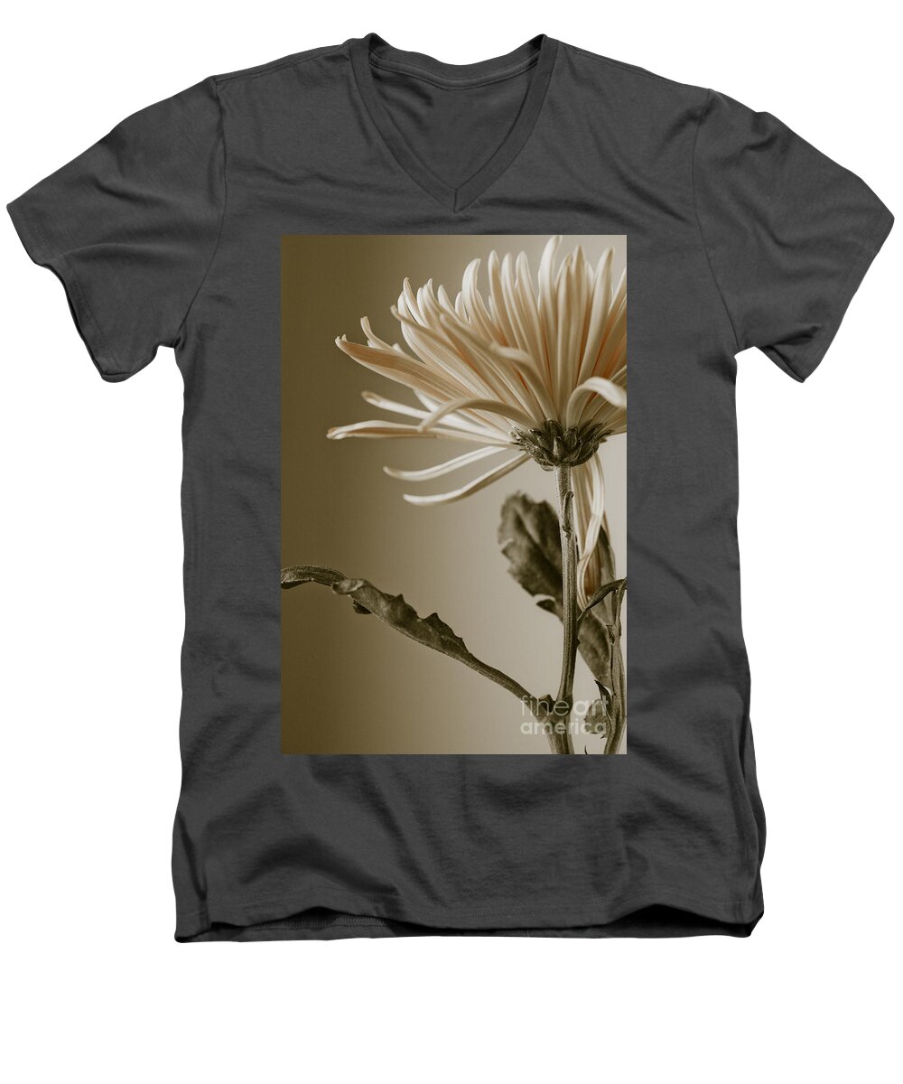 Beautiful Men's V-Neck T-Shirt featuring the photograph Chrysanthemum Petals 2 by Jo Ann Tomaselli
