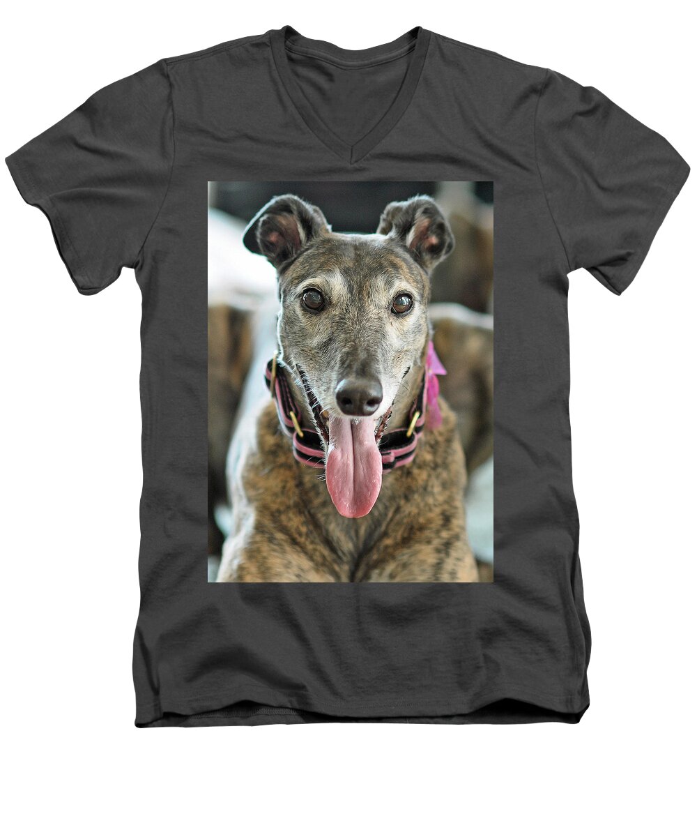 Animals Men's V-Neck T-Shirt featuring the photograph Cobra by Lisa Phillips