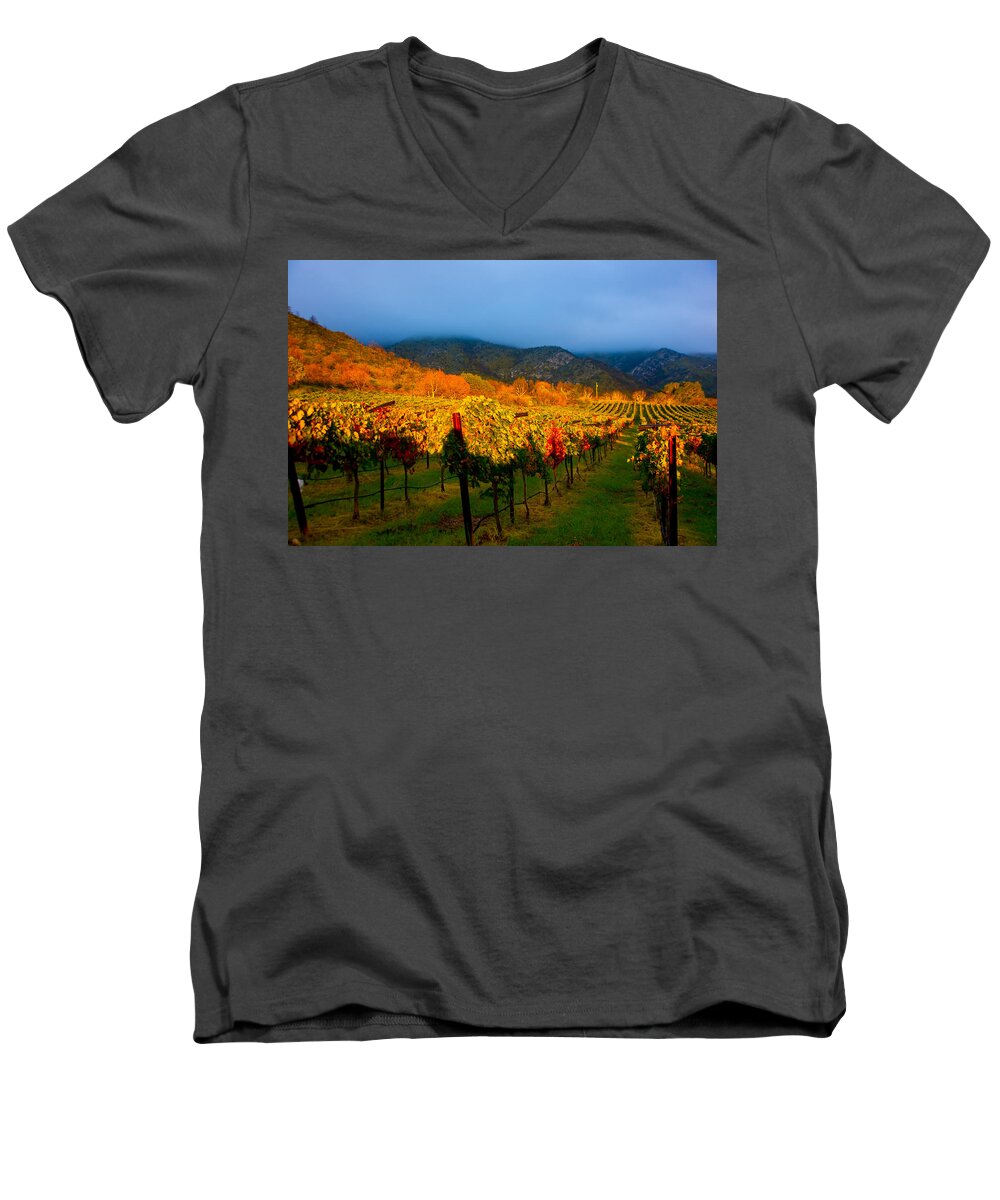Colibri Vineyards Men's V-Neck T-Shirt featuring the photograph Colibri Morning by Kent Nancollas