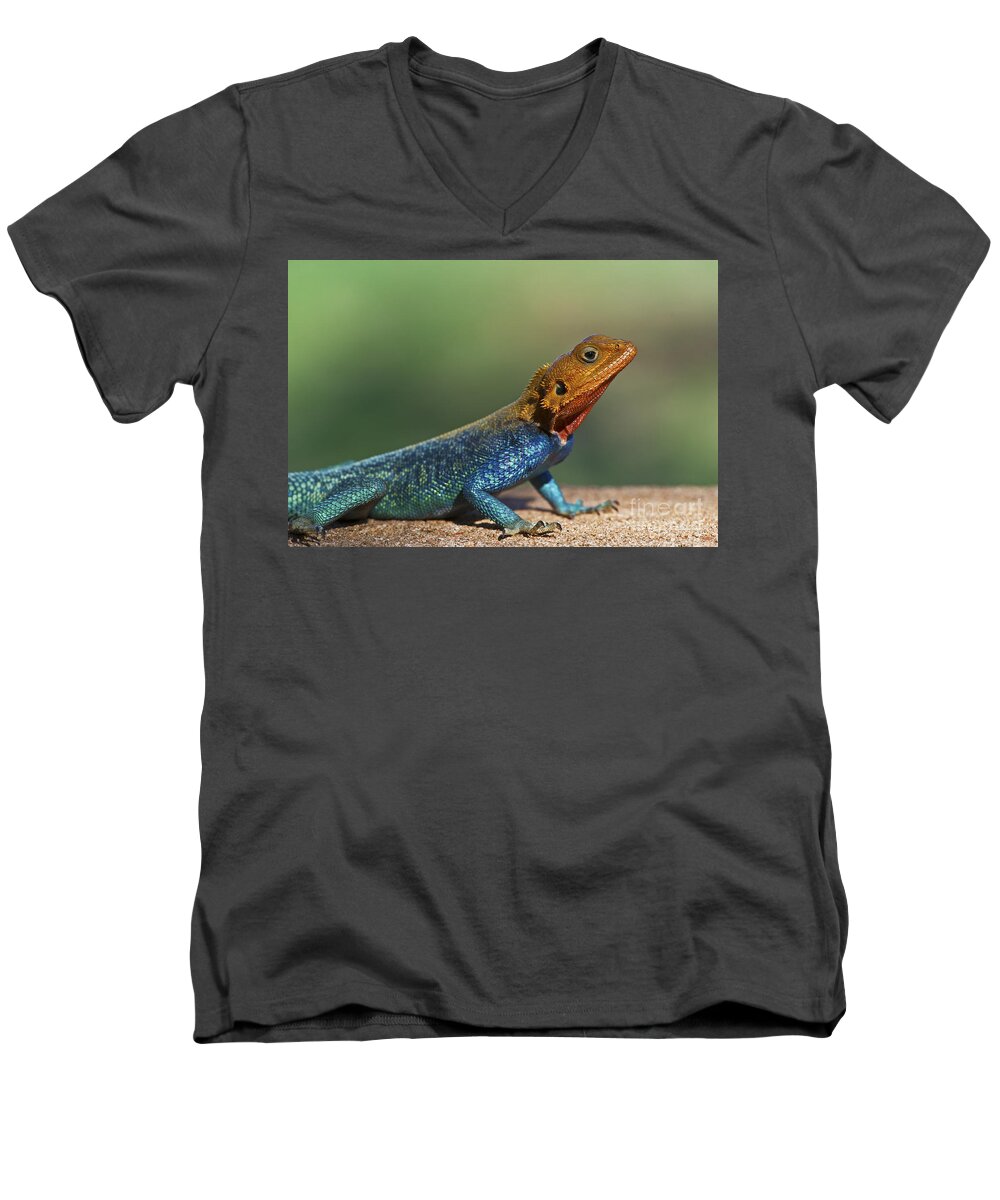 Festblues Men's V-Neck T-Shirt featuring the photograph Colorful Awesomeness... by Nina Stavlund