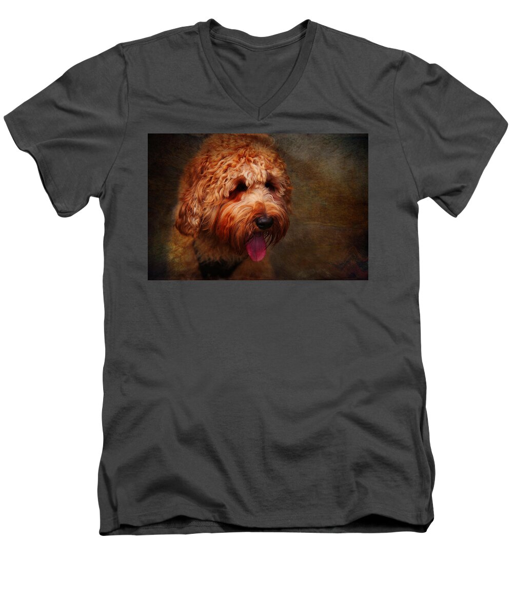Australian Labradoodle Men's V-Neck T-Shirt featuring the photograph Cooper by Jenny Rainbow