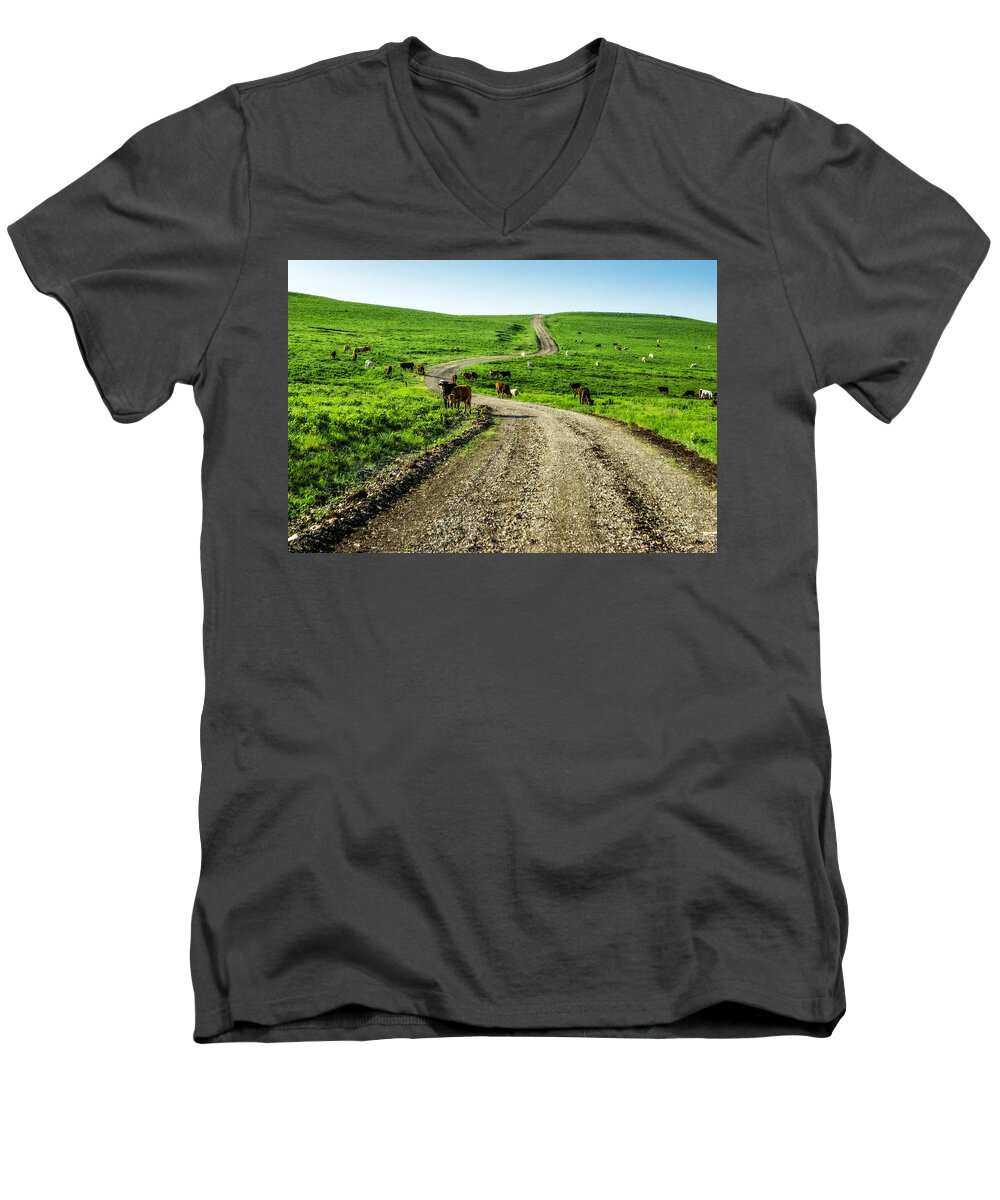 Cow Men's V-Neck T-Shirt featuring the photograph Cows on the Road by Eric Benjamin