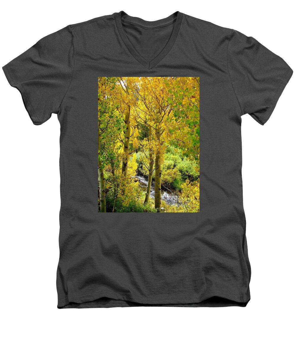 Autumn Men's V-Neck T-Shirt featuring the photograph Creekside by Marilyn Diaz
