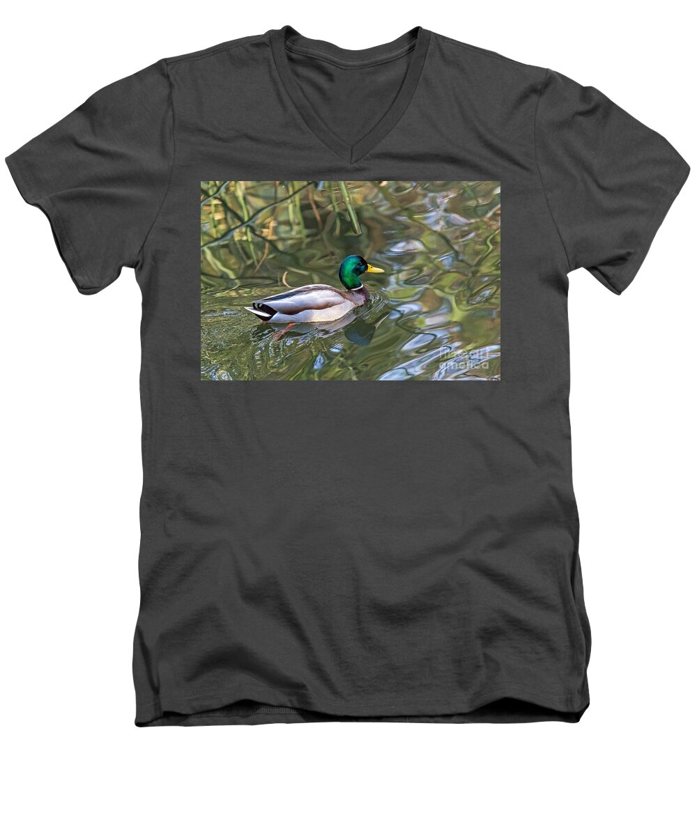 Bird Men's V-Neck T-Shirt featuring the photograph Mallard Abstraction by Kate Brown