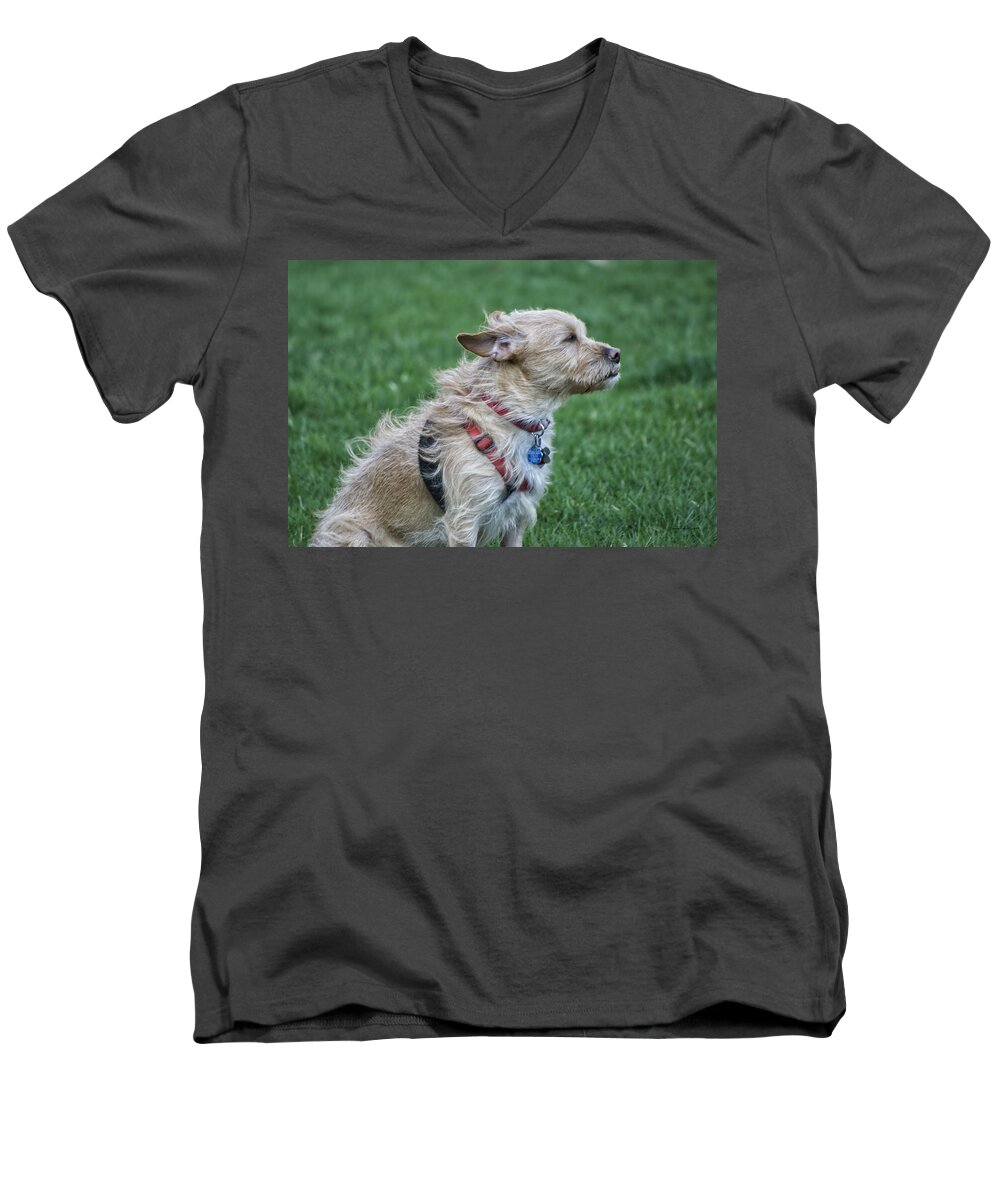 Wind Men's V-Neck T-Shirt featuring the photograph Cruz Enjoying a Warm Gentle Breeze by Thomas Woolworth