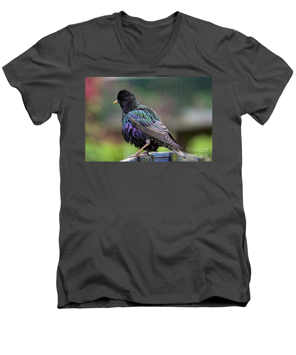 Starling Men's V-Neck T-Shirt featuring the photograph Darling Starling by Terri Waters