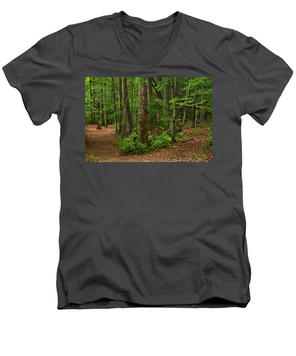 Landscapes Men's V-Neck T-Shirt featuring the photograph Diverted Paths by Matthew Pace