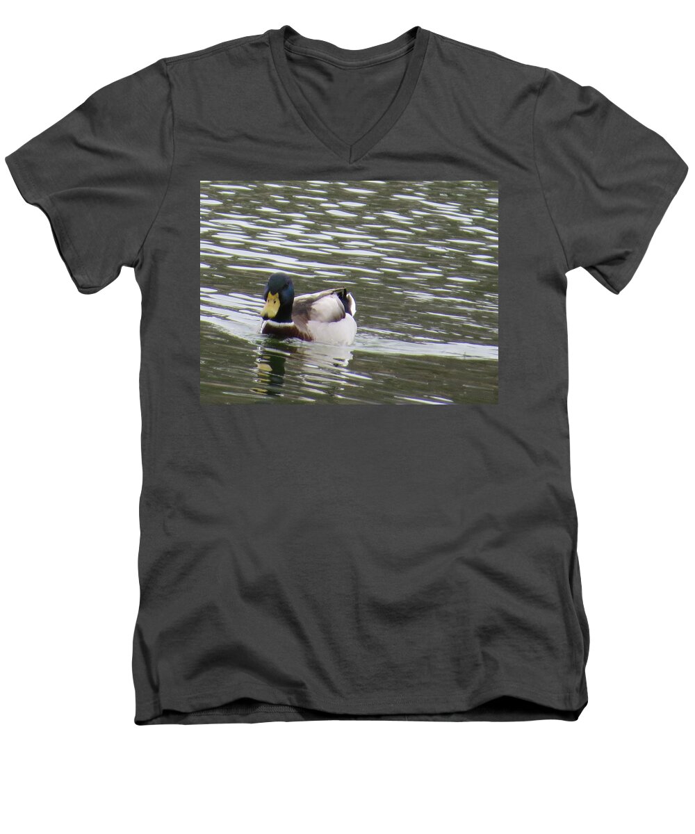 Wildlife. Duck Men's V-Neck T-Shirt featuring the photograph Duck out for a swim by Aaron Martens